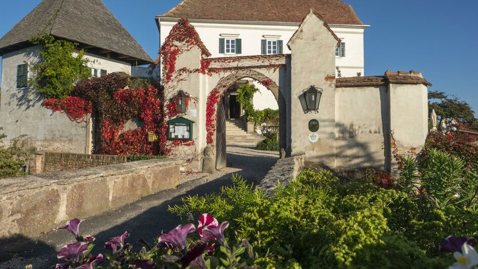 Schlosshotel Kapfenstein